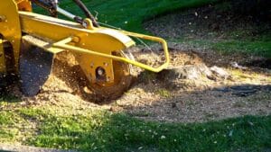 A yellow stump grinder in operation, grinding down a tree stump. Wood chips and sawdust are visible around the site, with green grass in the background.