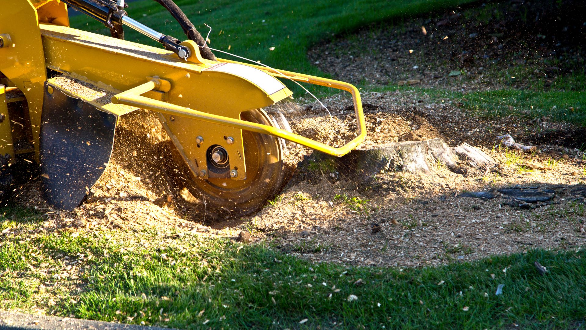 A yellow stump grinder in operation, grinding down a tree stump. Wood chips and sawdust are visible around the site, with green grass in the background.