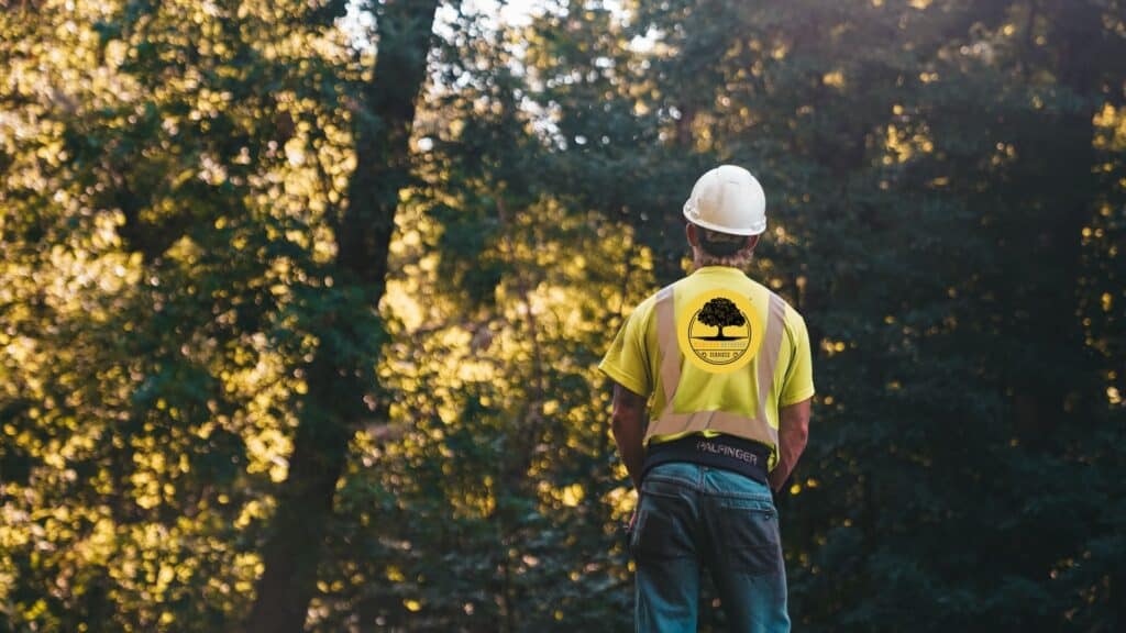 A person in a high-visibility vest and hard hat stands outdoors, facing away, surrounded by trees.