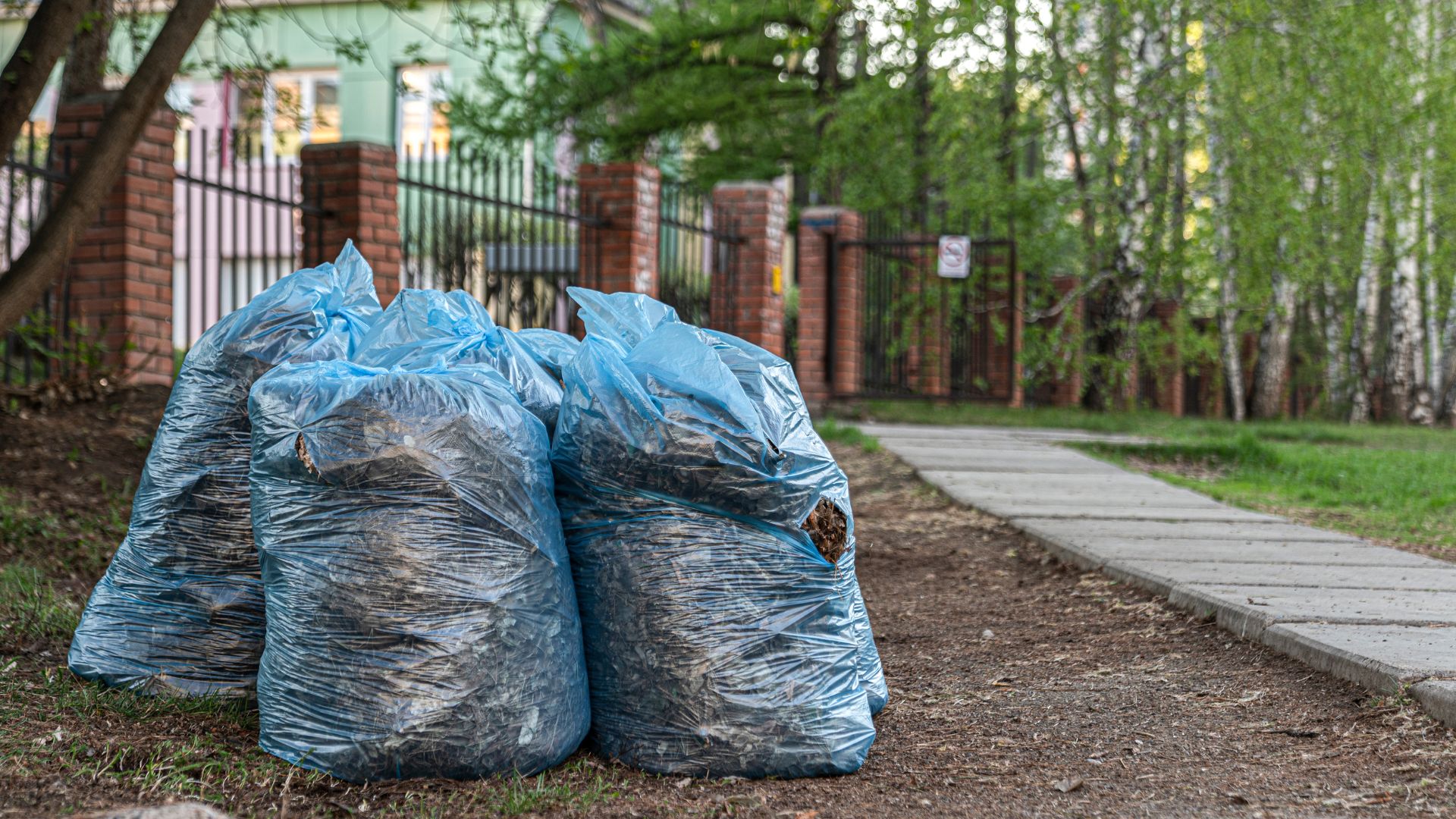 Several large blue plastic bags filled with leaves and yard waste are placed next to a paved walkway with a brick fence and greenery in the background.